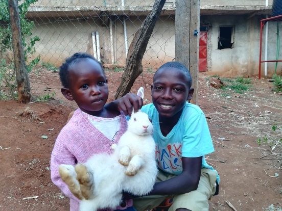 Hodowla królików dla Centrum Dziecięcego w Kithatu (Kenia)