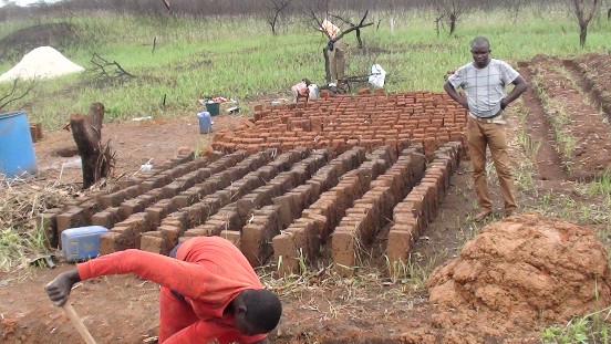 Projekt rolniczy w Nganke (Kamerun)