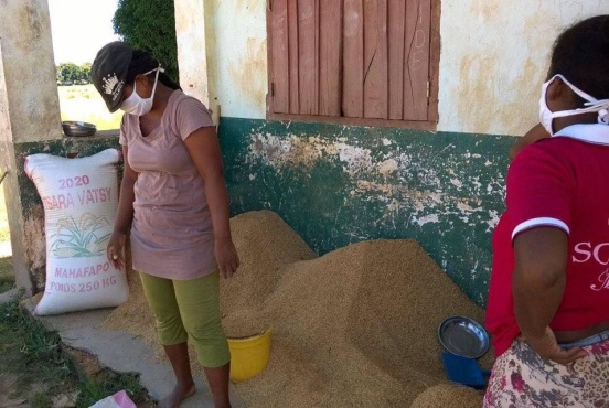 Ryż i fasola na zasiew dla powodzian (Madagaskar)
