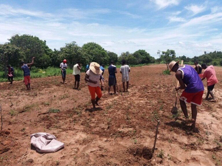 Dostarczenie wody dla gospodarstwa w Mampikony (Madagaskar)