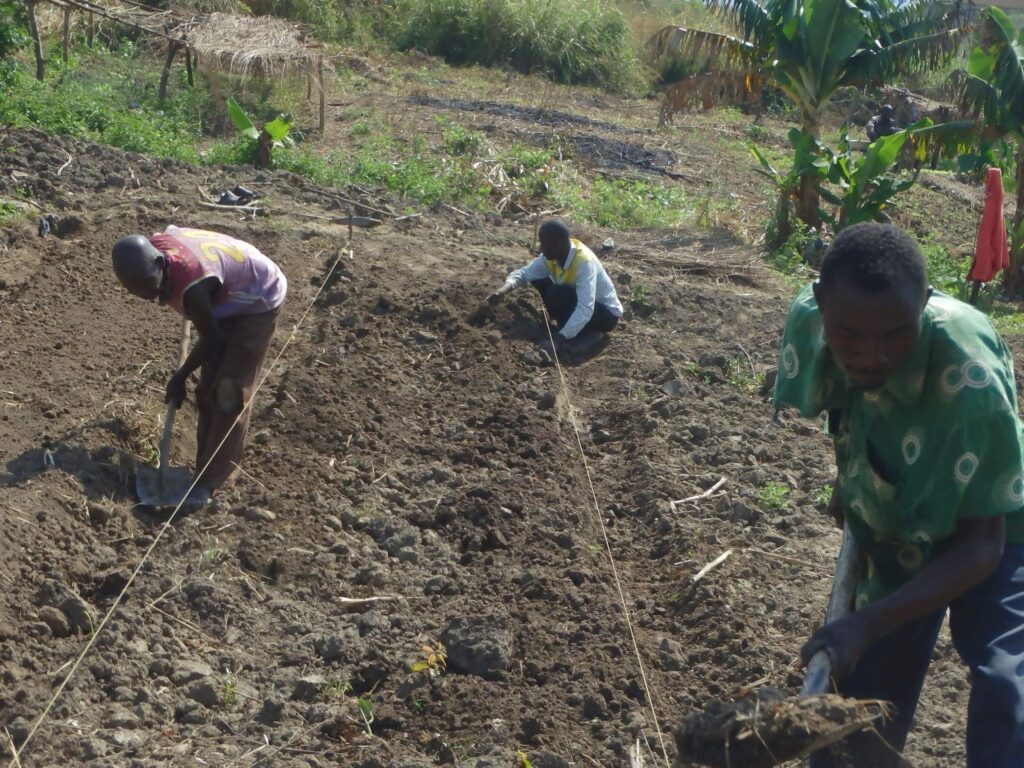 Zakup narzędzi rolniczych oraz budowa domów dla niewidomych w Ngaoundaye (RŚA)