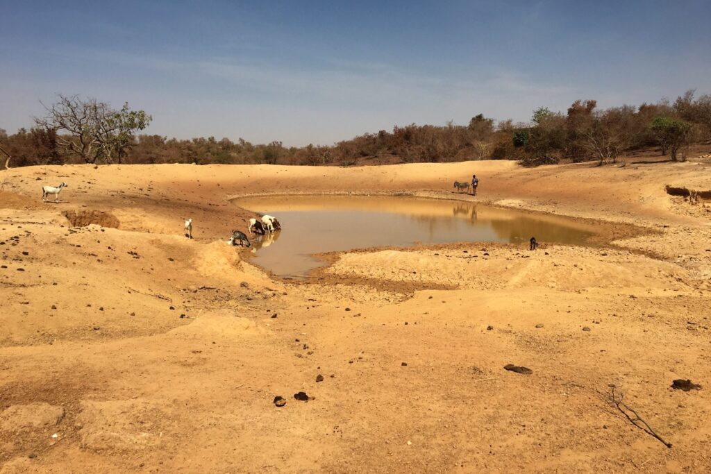 Studnia dla wsi Zoungou (Burkina Faso)