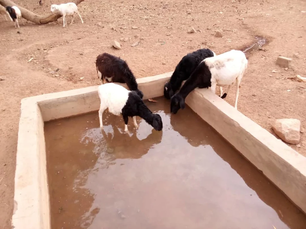 Projekt rolniczy w Lergho (Burkina Faso)