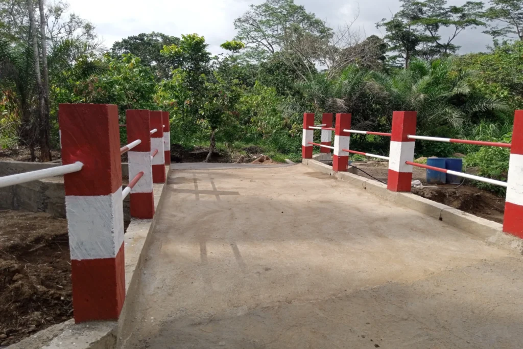 Budowa mostu w Ebase-Bajoh (Kamerun)