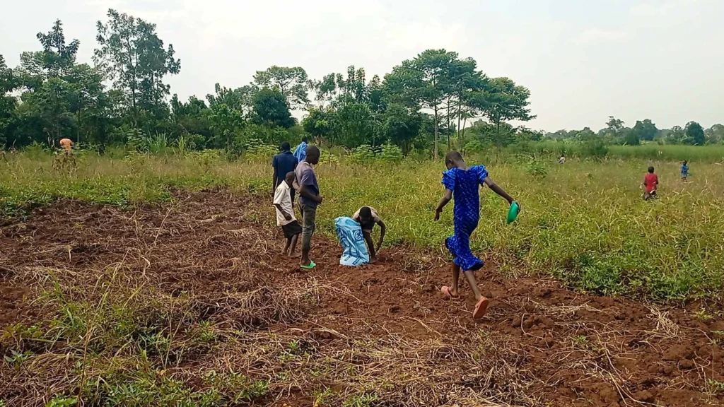 Budowa fermy dla sierocińca w Nawanyago (Uganda)