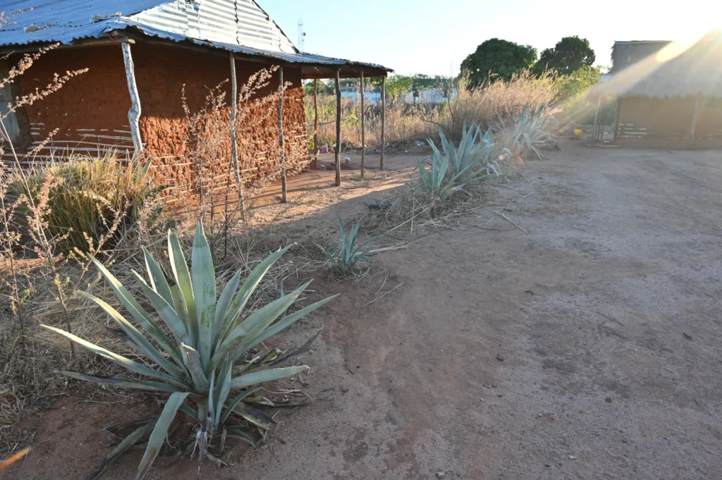 Zakup ziemi dla szpitala i liceum w Mampikony (Madagaskar)