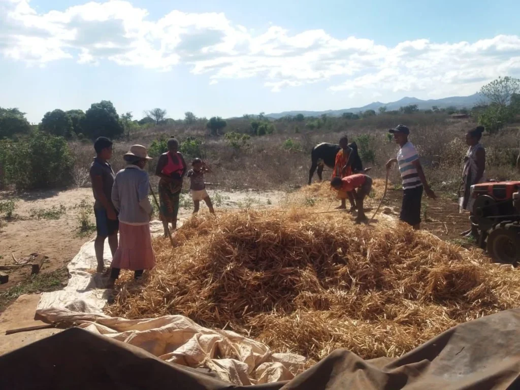 Tama dla fermy edukacyjnej w Anivorano (Madagaskar)