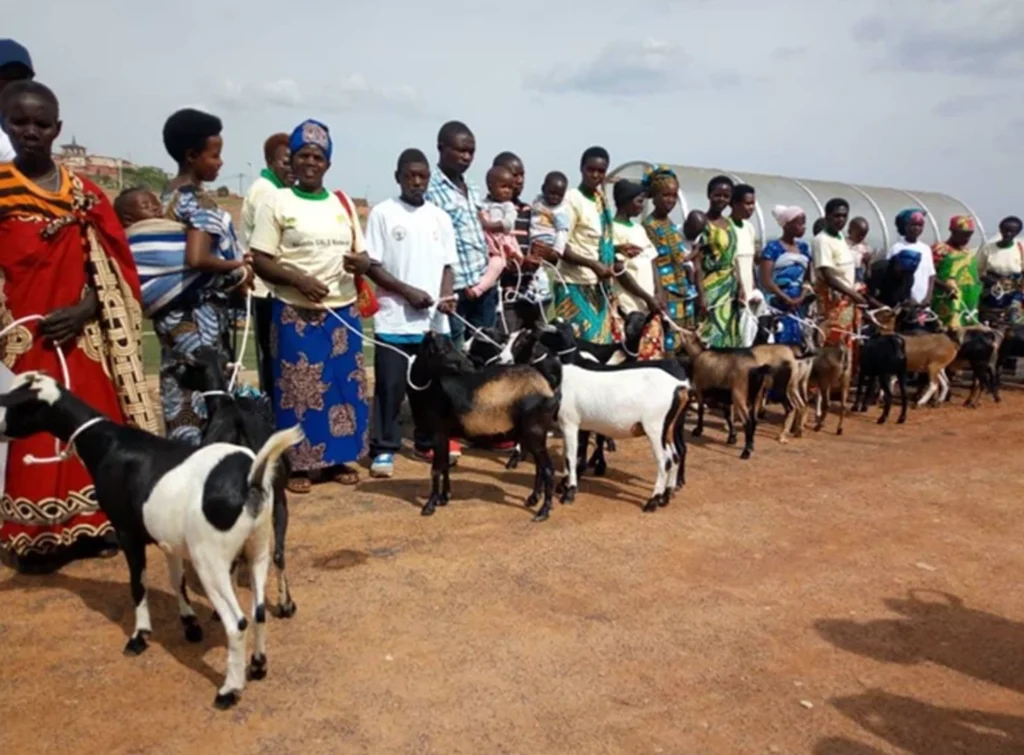 Zakup nasion warzyw i owoców dla organizacji kobiet w Muhabura (Rwanda)