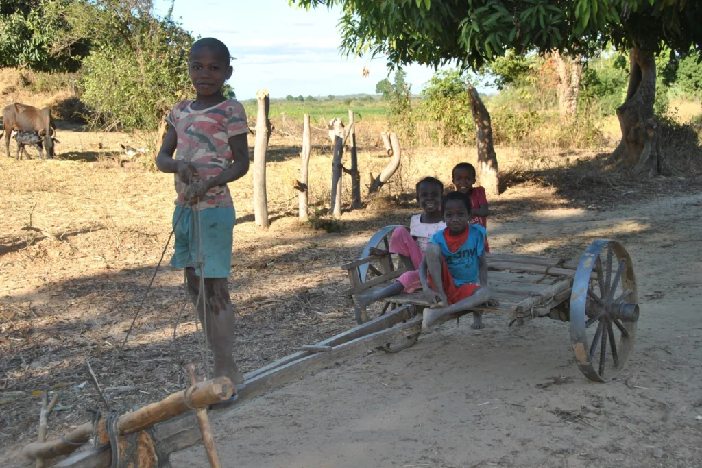 Zakup ziemi w dla centrum dzieci ulicy w regionie Ambohidratrimo/Mahitsy (Madagaskar)